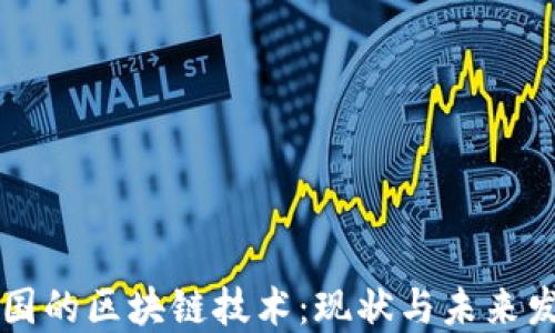 
中国的区块链技术：现状与未来发展