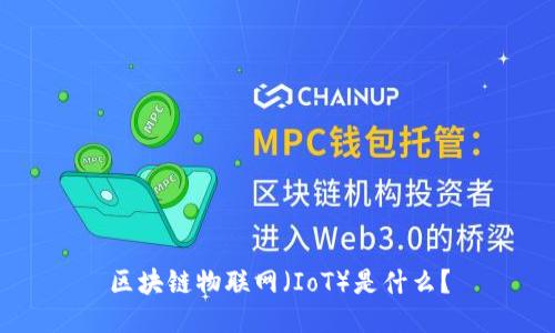 区块链物联网（IoT）是什么？