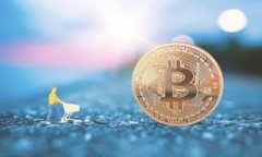 TP钱包提现方式解析：是否必须通过交易所？