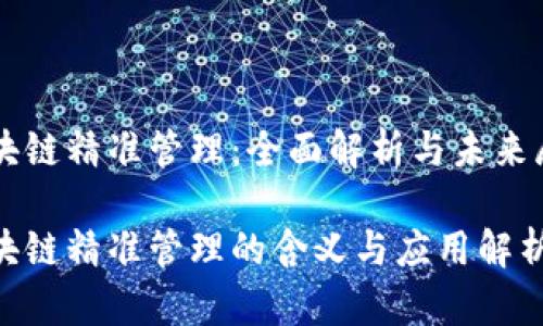 区块链精准管理：全面解析与未来展望

区块链精准管理的含义与应用解析