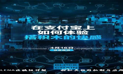 LLNA区块链详解——探秘其独特机制与应用