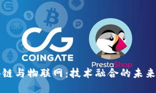 区块链与物联网：技术融合的未来趋势