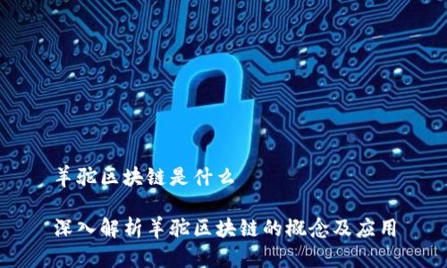 羊驼区块链是什么

深入解析羊驼区块链的概念及应用