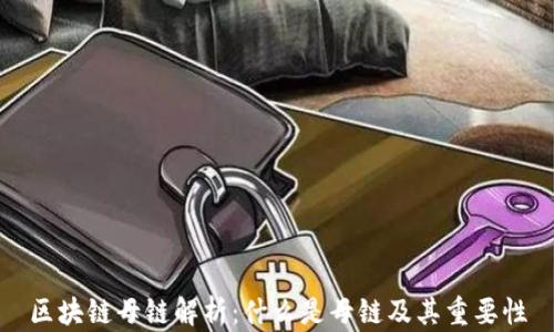 
区块链母链解析：什么是母链及其重要性