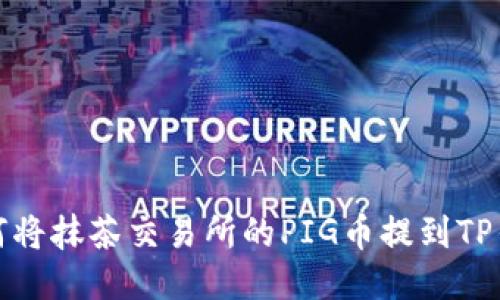 如何将抹茶交易所的PIG币提到TP钱包