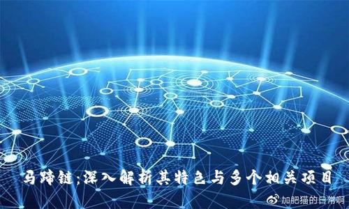 马蹄链：深入解析其特色与多个相关项目