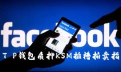 : T P钱包质押KSM插槽拍卖指南