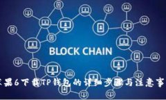 苹果6下载TP钱包的详细步骤与注意事项